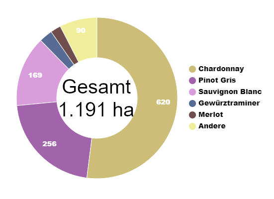 Diagramm Rebsortenverteilung Gisborne Neuseeland