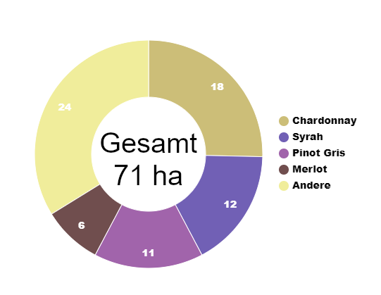 Diagramm Rebsortenspiegel Northland Neuseeland