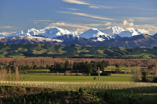 Weinregion Canterbury Waipara Neuseeland