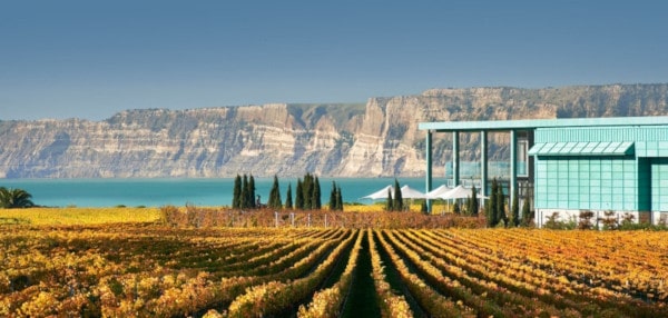 Die 6 besten Weine Neuseelands, Syrah von Elephant Hill Wines, Hawke's Bay New Zealand