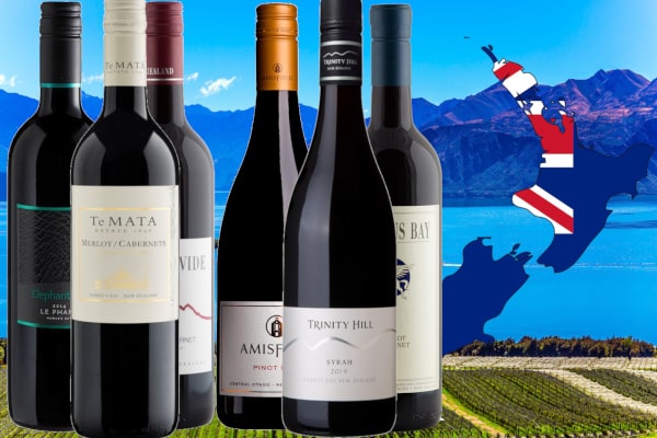 Cellardoor24 Weinpaket beste Rotweine aus Neuseeland
