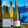 Cellardoor24 Weinpaket Neuseelands beste Weißweine
