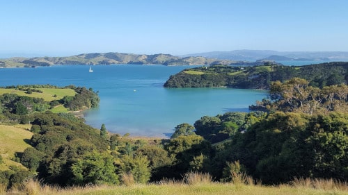 Die 6 besten Weine Neuseelands. Bordeaux Blends von Waiheke Island, New Zealand