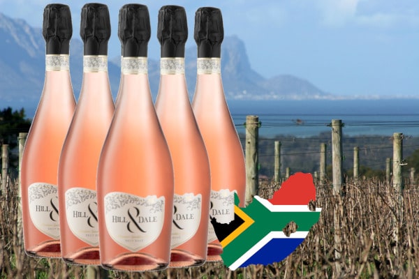 Cellardoor24 Weinpaket HillandDale Sparkling Rosé jetzt online