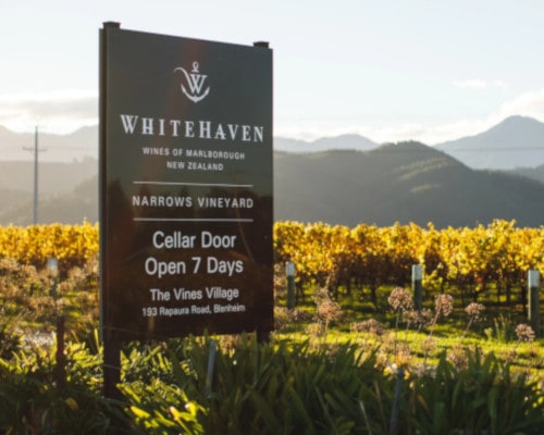 Die 6 besten Weine Neuseelands, Whitehaven Wines Marlborough Verkostung vor Ort