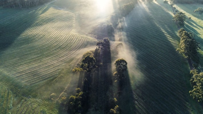 Best Wines from Australia Margaret River from Above