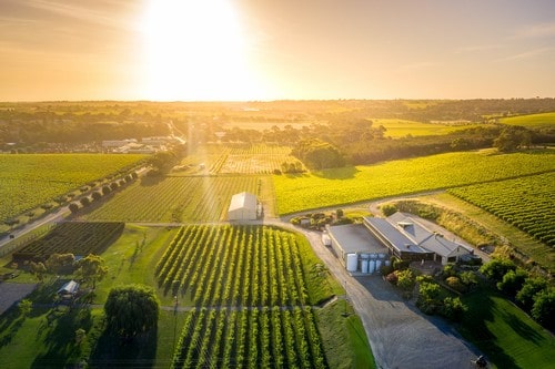 Maxwell Wines McLaren Vale Australia